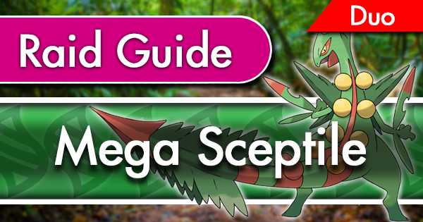 Mega Sceptile Duo