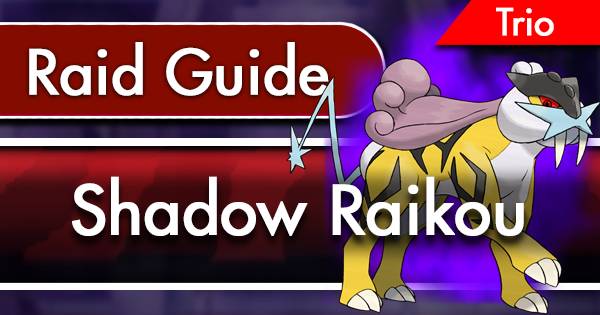 Shadow-Raikou-Trio