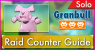 Granbull Solo Raid Guide