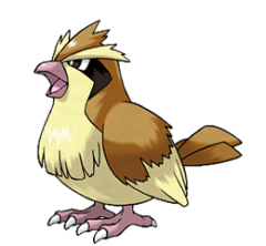 Pidgey