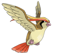 Pidgeot