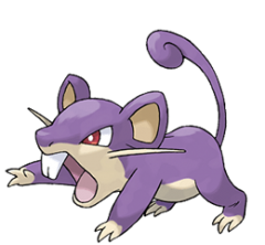 Rattata