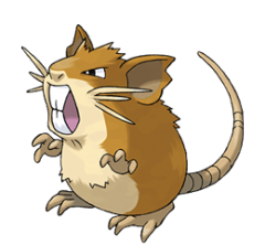 Raticate