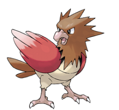 pearow