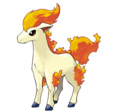 Ponyta