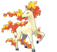 Rapidash