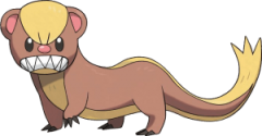 Yungoos