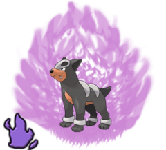 Shadow Houndour