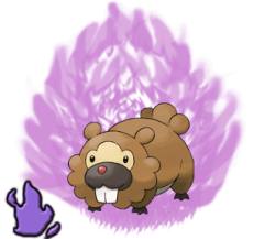 shadow-bidoof
