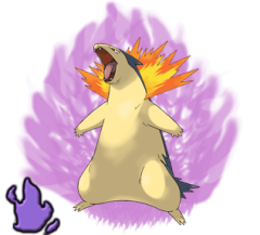 Shadow Typhlosion