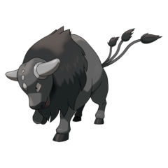 Paldean Tauros