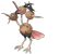 Dodrio