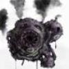 Profile picture for user anSTD
