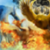 Profile picture for user RedOne@Belgium
