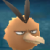 Profile picture for user sheib