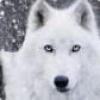 Profile picture for user Keketi