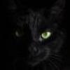 Profile picture for user VeloKarl