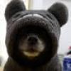 Profile picture for user SlrSylversun